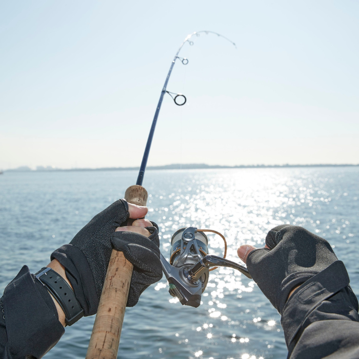 Piggy bank losing money